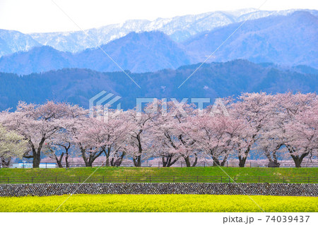 桜景　あさひ船川 74039437