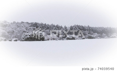 雪の朝霧高原 雪の朝霧高原 74039540