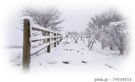 雪の朝霧高原 雪の朝霧高原 74039553