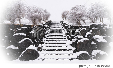 雪の朝霧高原 雪の朝霧高原 74039568