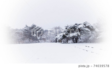 雪の朝霧高原 雪の朝霧高原 74039578