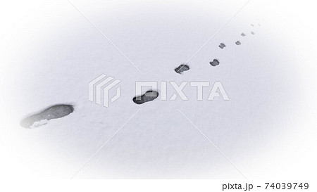 雪の中の足跡 雪の中の足跡 74039749