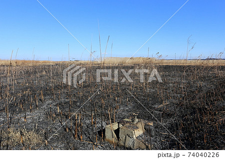 野焼きした荒れ地 74040226