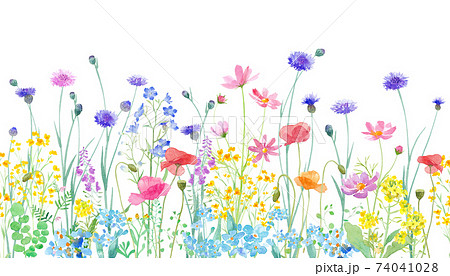 色々の花が咲き乱れる、春の野原の水彩イラスト。横方向シームレスパターン。 74041028