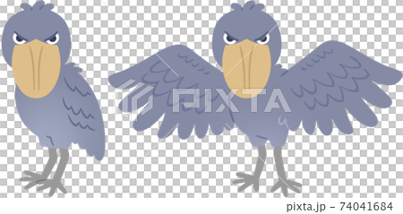 2 species of shoebill 2 species of shoebill 74041684