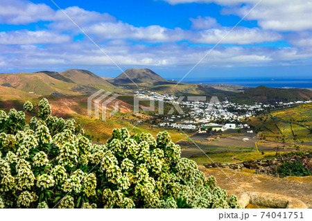 Lanzarote - impressive beauty of volcanic island.View of Haria village Lanzarote - impressive beauty of volcanic island.View of Haria village 74041751