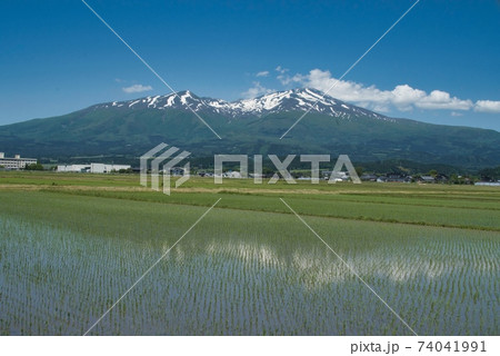 鳥海山と水田 山形県遊佐町 鳥海山と水田 山形県遊佐町 74041991
