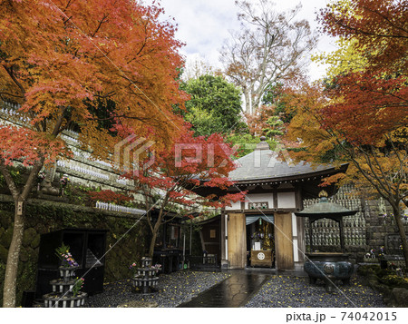 鎌倉・長谷寺　地蔵堂と紅葉 74042015