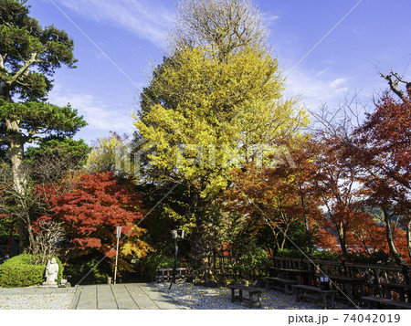 鎌倉・長谷寺 境内の紅葉 鎌倉・長谷寺 境内の紅葉 74042019