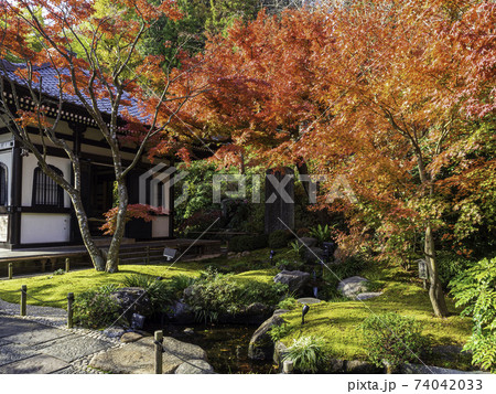 鎌倉・長谷寺　経蔵と紅葉 74042033
