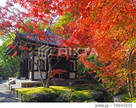 鎌倉・長谷寺　経蔵と紅葉 74042035