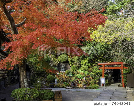 鎌倉・長谷寺 弁天窟前の紅葉 鎌倉・長谷寺 弁天窟前の紅葉 74042041