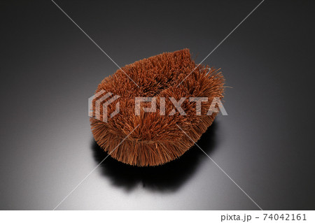 たわしイメージ 74042161