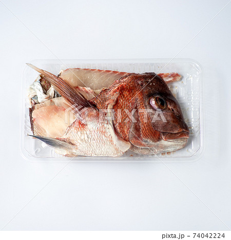 鯛のアラ 鯛のアラ 74042224