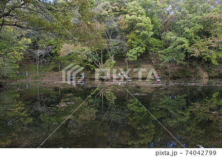 【秦野市】秋の震生湖 74042799