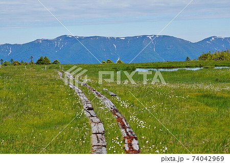 田代山湿原の木道と会津駒ヶ岳 74042969