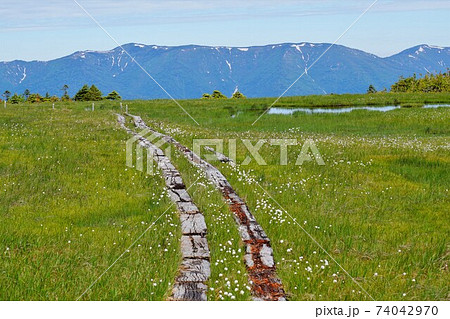 田代山湿原の木道と会津駒ヶ岳 田代山湿原の木道と会津駒ヶ岳 74042970