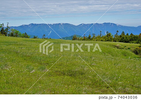 田代山湿原からの会津駒ヶ岳 74043036