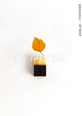 Tar soap for hand washing. Body care spa relaxation cleansing concept. Natural products. Purity Tar soap for hand washing. Body care spa relaxation cleansing concept. Natural products. Purity 74044069