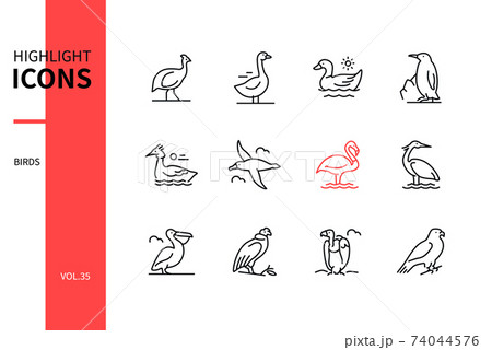 Bird species - modern line design style icons set Bird species - modern line design style icons set 74044576