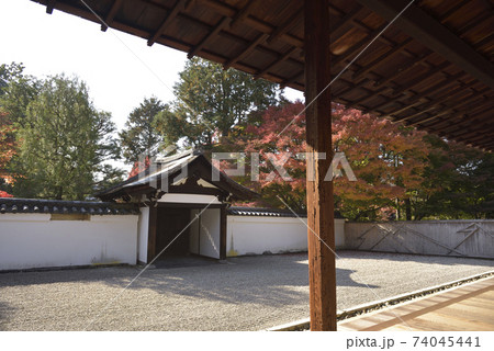 龍吟庵 南庭 無の庭 龍吟庵 南庭 無の庭 74045441