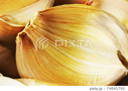 fresh garlic fresh garlic 74045793