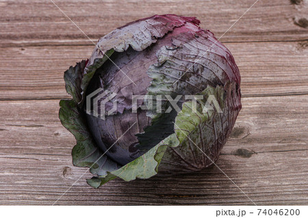 Natural ripe Organic violet cabbage Natural ripe Organic violet cabbage 74046200