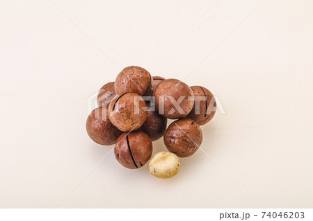 Brown macadamia nut heap over background Brown macadamia nut heap over background 74046203