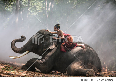 Thailand Countryside; Silhouette elephant on the background of sunset, elephant Thai in Surin Thailand. 74046469