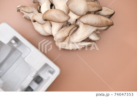 mushroom packaging solution. compostable packaging 74047353