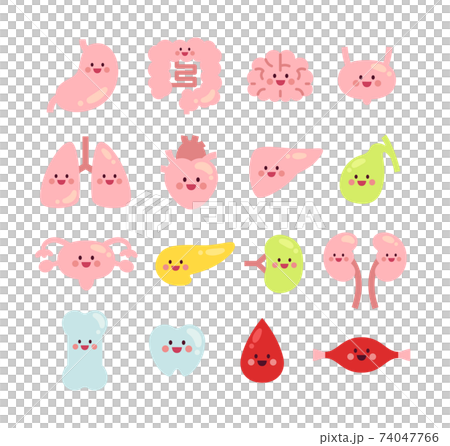 健康な16種類の内臓のかわいいキャラクター 健康な16種類の内臓のかわいいキャラクター 74047766