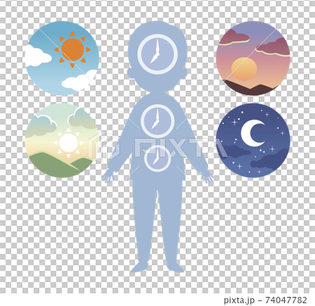 早上，白天，晚上和晚上的圖標和身體時鐘 74047782
