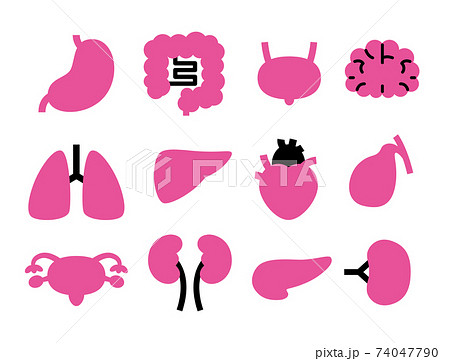 ピンクと黒のシンプルビビッドな12種類の内臓アイコンのイラスト素材