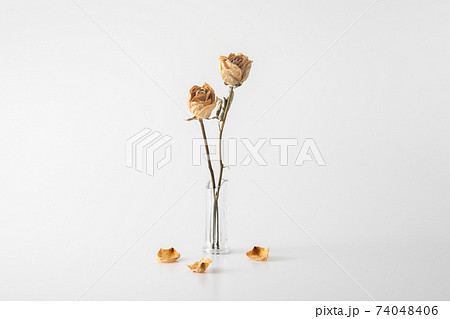 割れた花瓶とドライフラワー2の写真素材 [74048406] - PIXTA