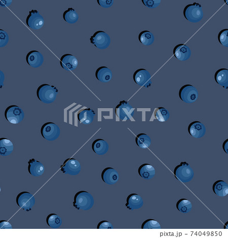 Seamless pattern with blueberry on grey background. Natural fresh ripe tasty blueberries. Vector illustration for background, packaging, textile, fabric and various other designs. Seamless pattern with blueberry on grey background. Natural fresh ripe tasty blueberries. Vector illustration for background, packaging, textile, fabric and various other designs. 74049850
