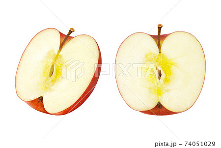 りんご イラスト リアルのイラスト素材