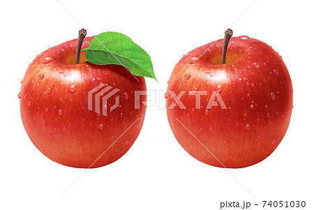 りんご イラスト リアルのイラスト素材