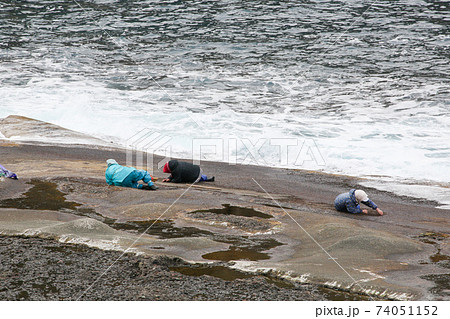 石川県 冬 能登半島 岩海苔採り 石川県 冬 能登半島 岩海苔採り 74051152