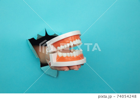Woman hand showing a model of jaw out of a hole torn in blue paper wall. Health care concept Woman hand showing a model of jaw out of a hole torn in blue paper wall. Health care concept 74054248