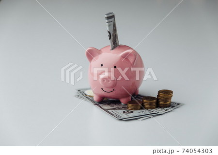 Pink piggy bank with dollar banknotes and coins. Finance and saving money concept 74054303