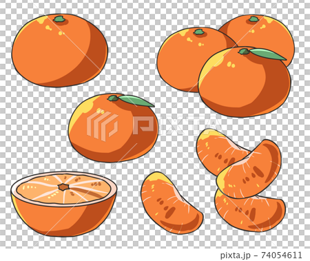 みかん みかん 74054611
