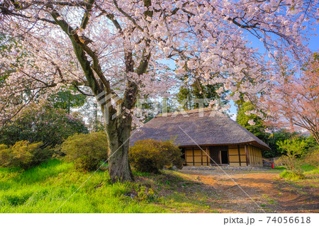 桜咲く阿久沢家住宅2 桜咲く阿久沢家住宅2 74056618