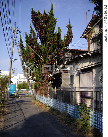 放置された住宅 放置された住宅 74056662
