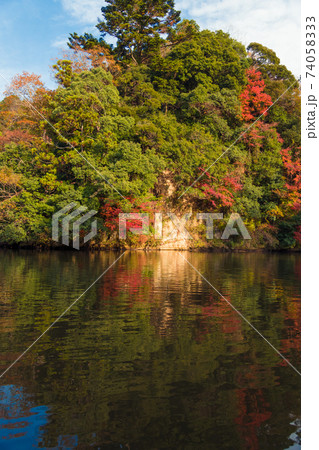 【クルーズ船からの亀山湖の紅葉】 74058333