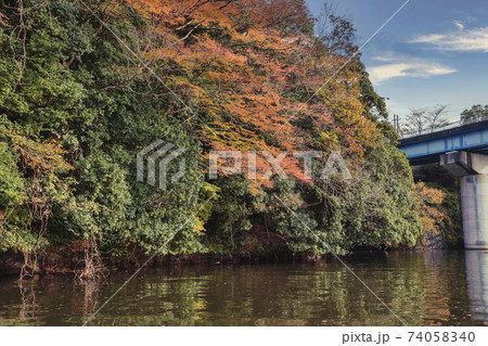 【クルーズ船からの亀山湖の紅葉と青い橋】 74058340