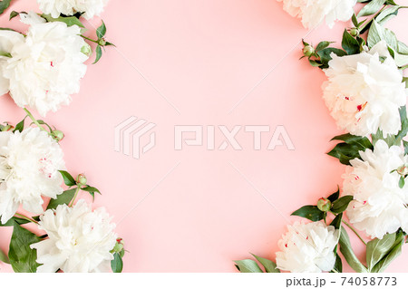Frame of white peony flowers with space for text on pink background. Peony texture. Flat lay, top view. Frame of white peony flowers with space for text on pink background. Peony texture. Flat lay, top view. 74058773