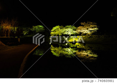 臼杵市（野津町）　吉四六ランド夜桜ライトアップ　吉四六まつり 74060981