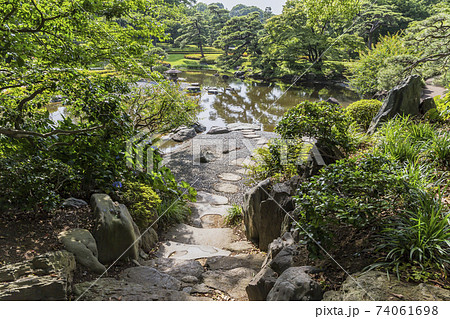 新緑イメージ 江戸城庭園 木と緑 緑 葉 新緑 新緑イメージ 江戸城庭園 木と緑 緑 葉 新緑 74061698