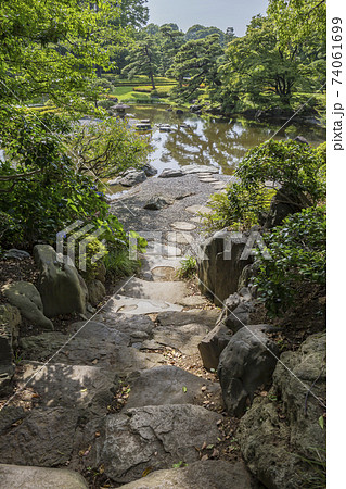 新緑イメージ 江戸城庭園 木と緑 緑 葉 新緑 新緑イメージ 江戸城庭園 木と緑 緑 葉 新緑 74061699