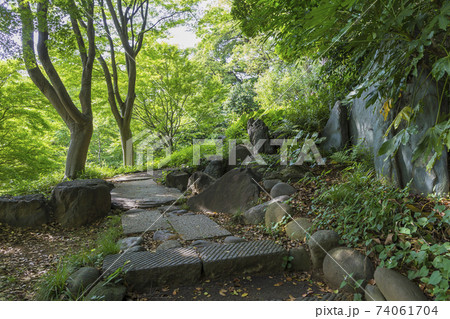 新緑イメージ 江戸城庭園 木と緑 緑 葉 新緑 新緑イメージ 江戸城庭園 木と緑 緑 葉 新緑 74061704